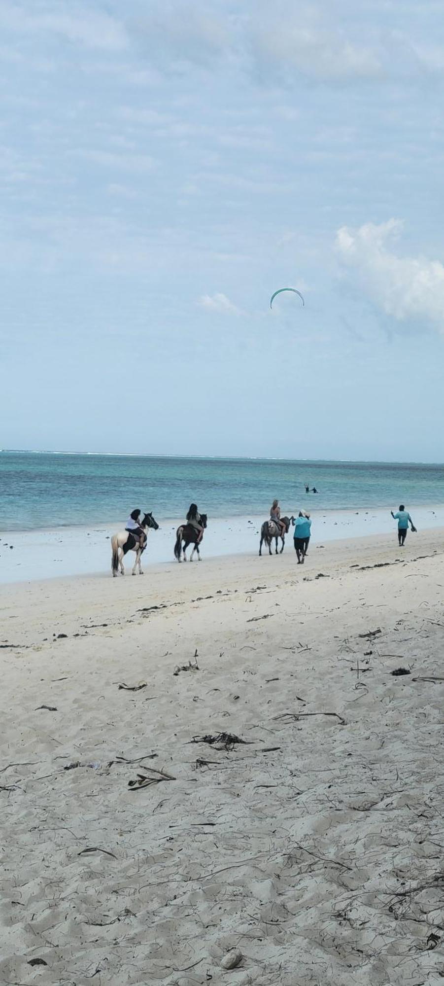 Mambo Alojamento de Turismo Selvagem *